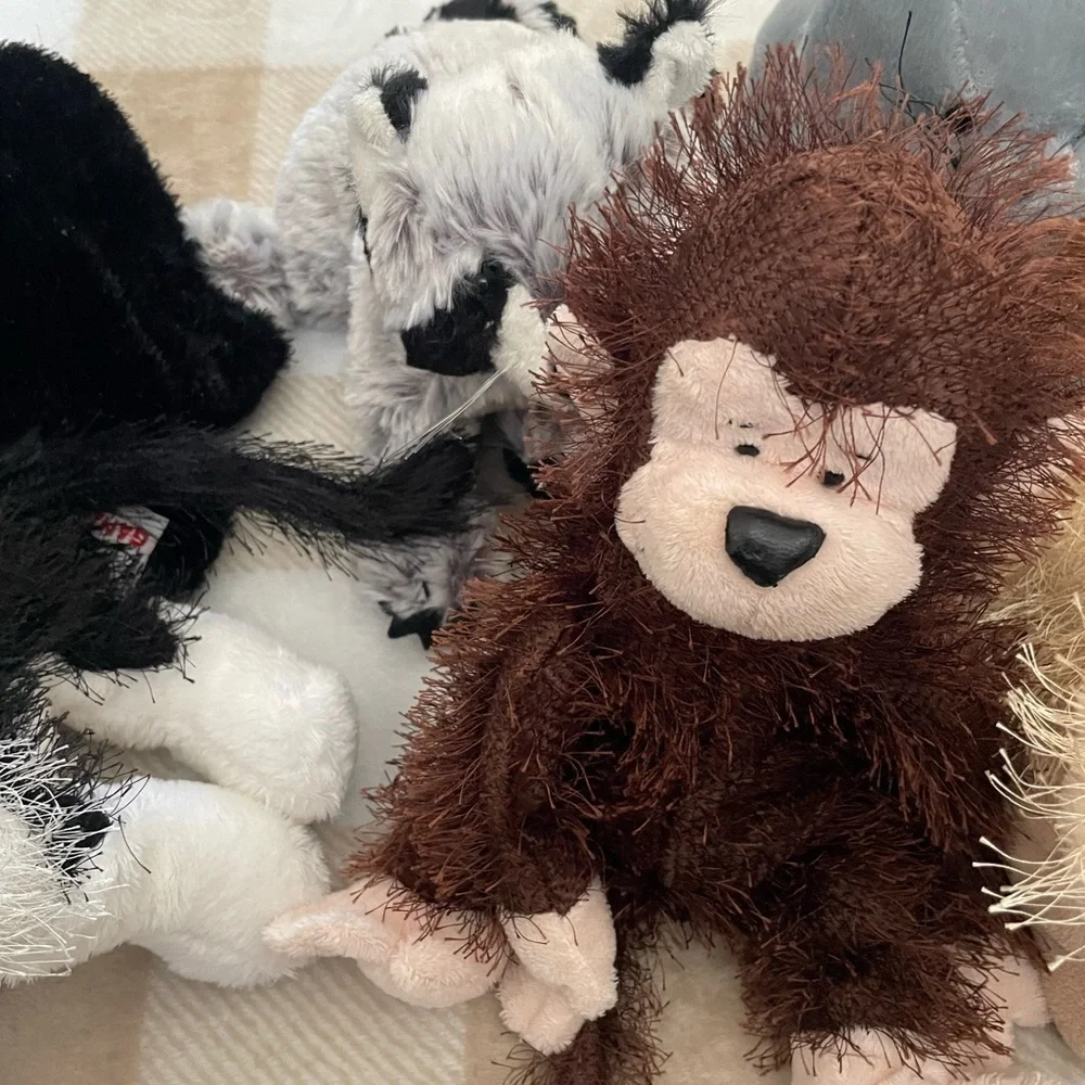 Lot of 11 Webkinz toys, Cats, Dogs, Racoon, and Monkey. Only the frog has a code